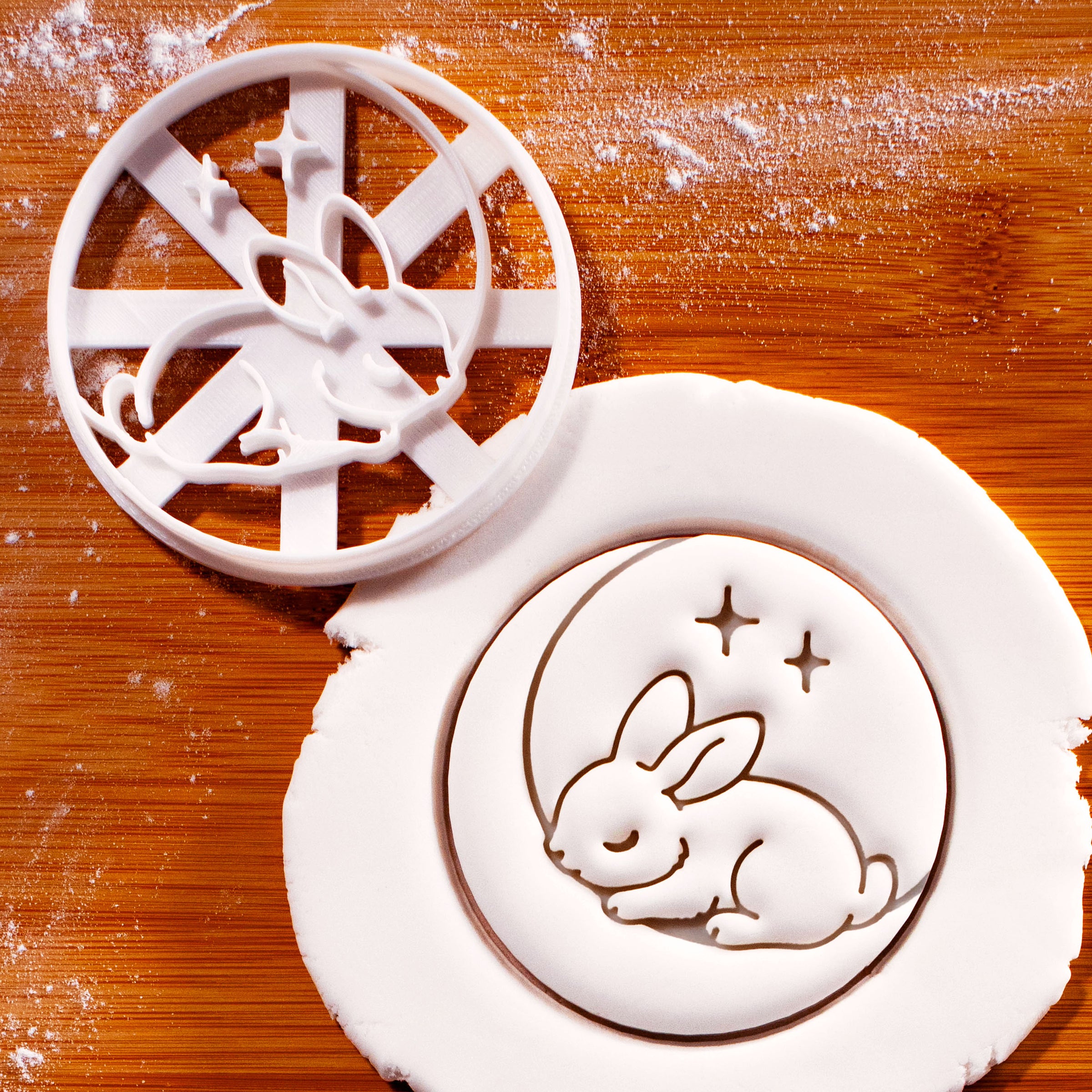 Sleeping Bunny on Moon