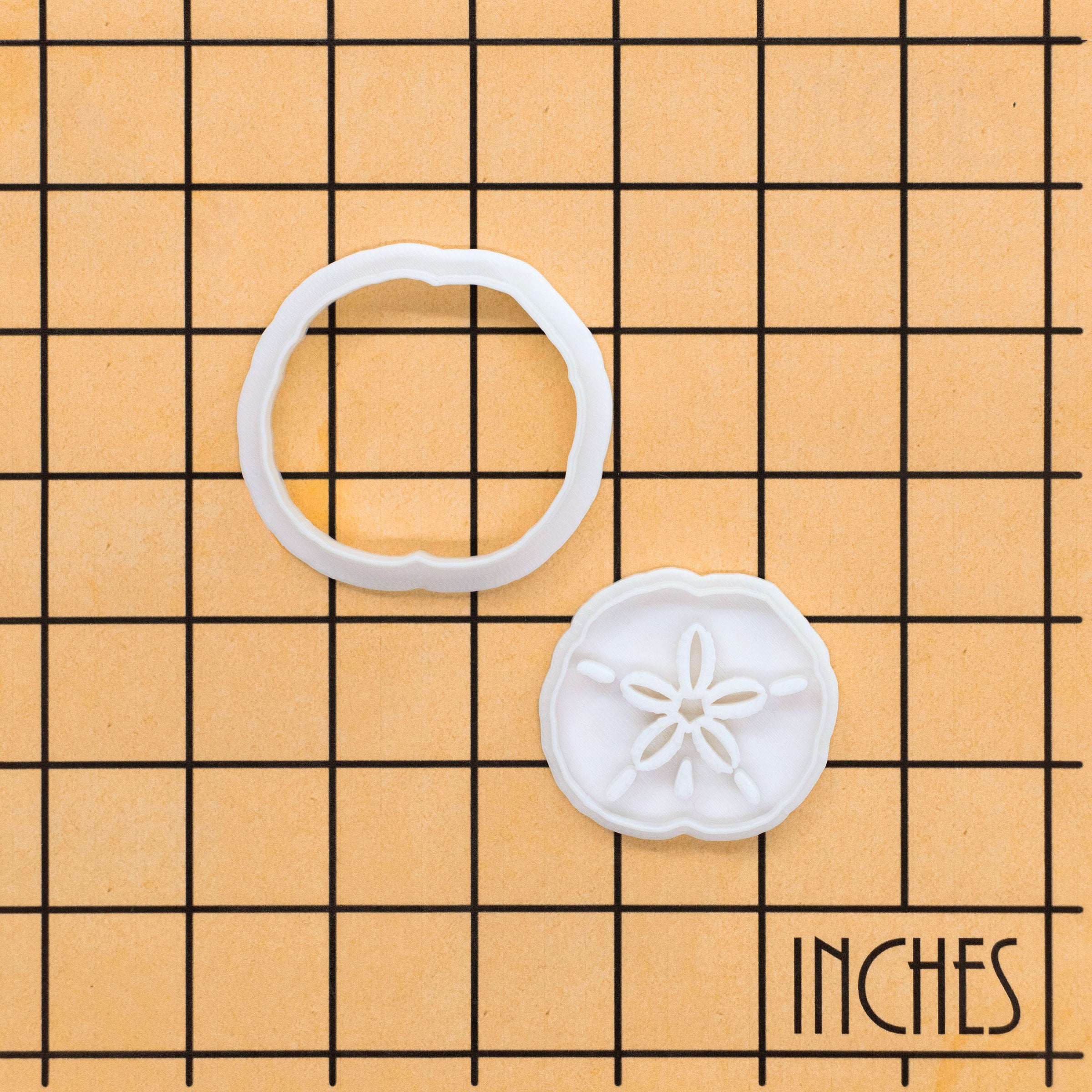 Sand Dollar Mini Set