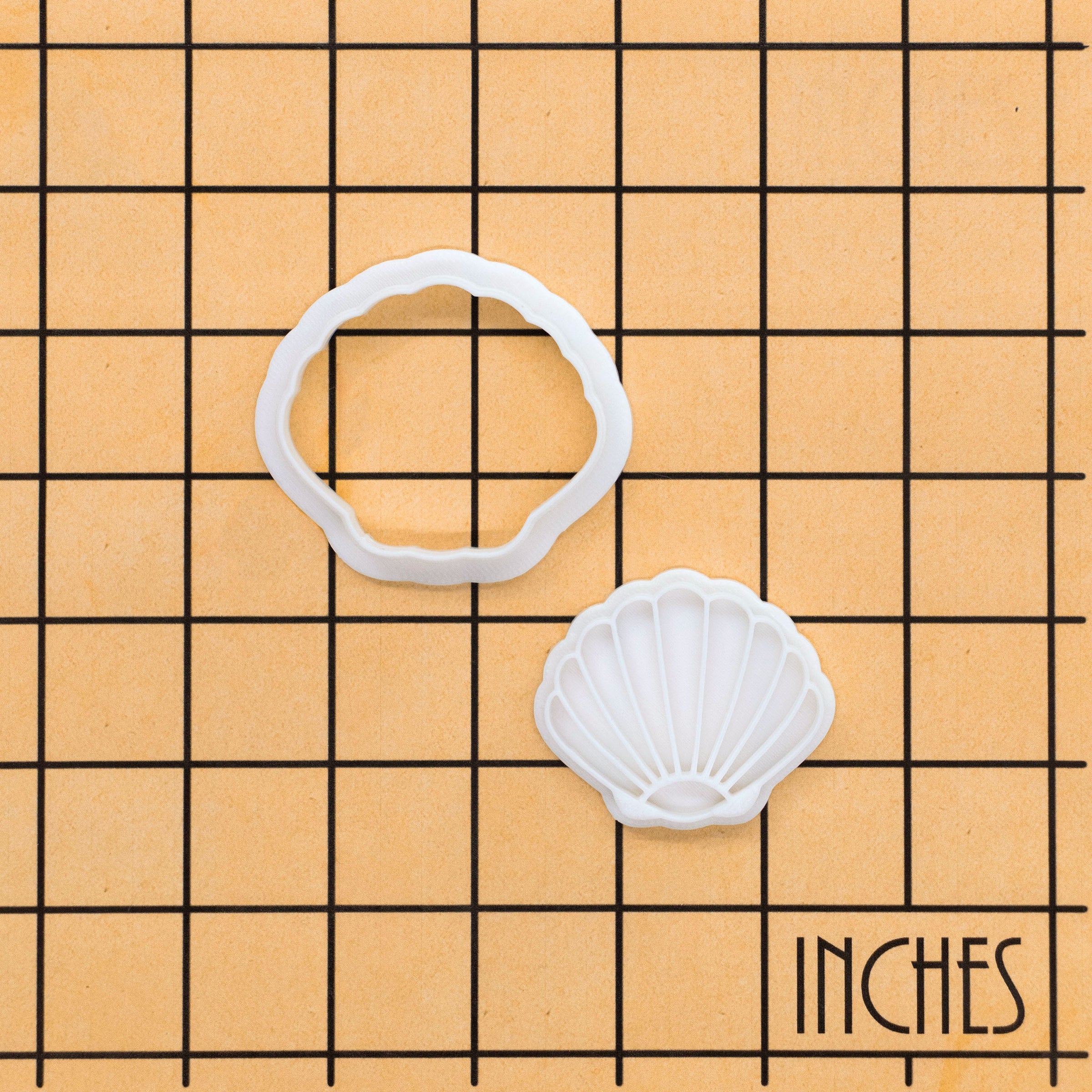 Seashell Mini Set
