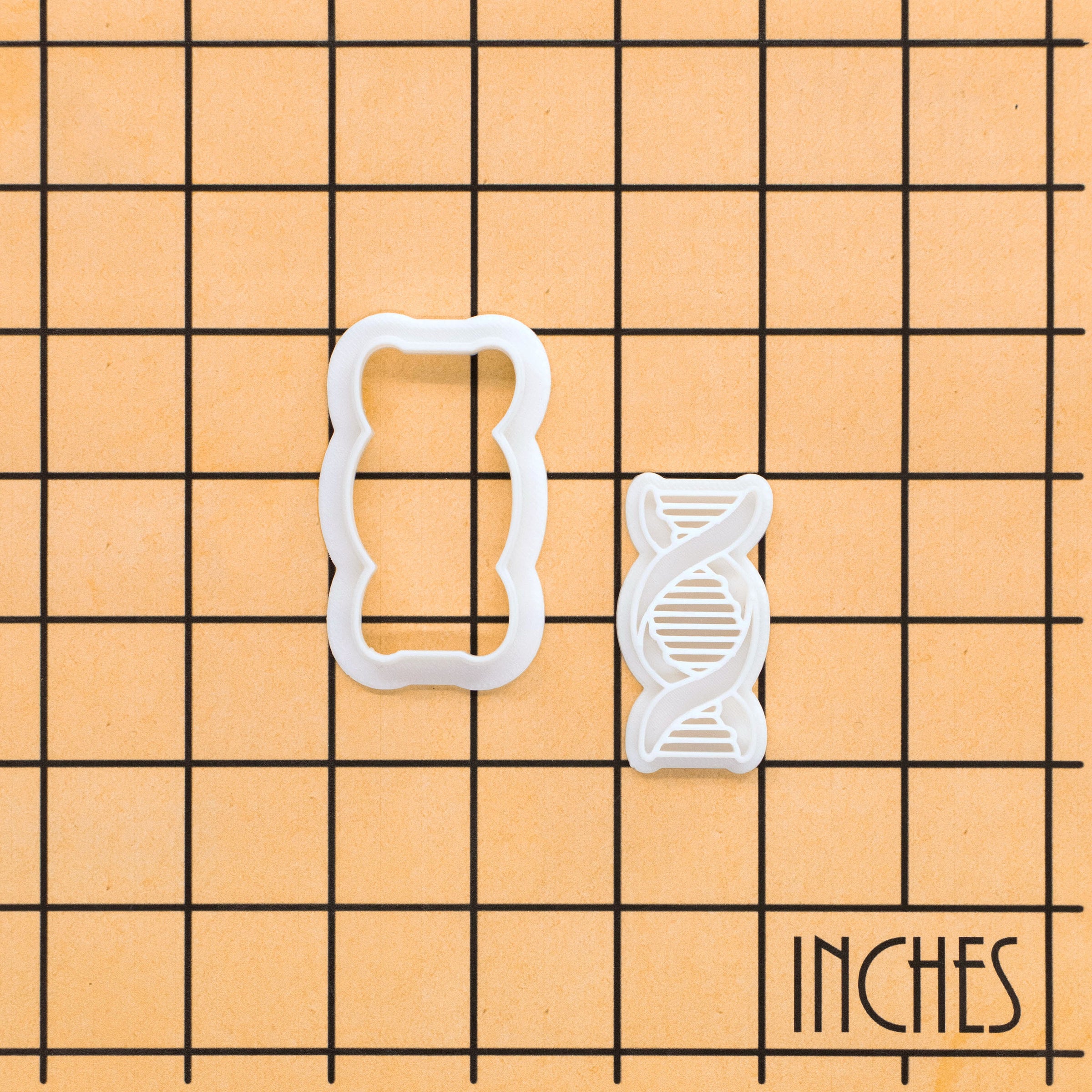 DNA Mini Set