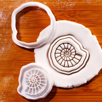 Ammonite Mini Set