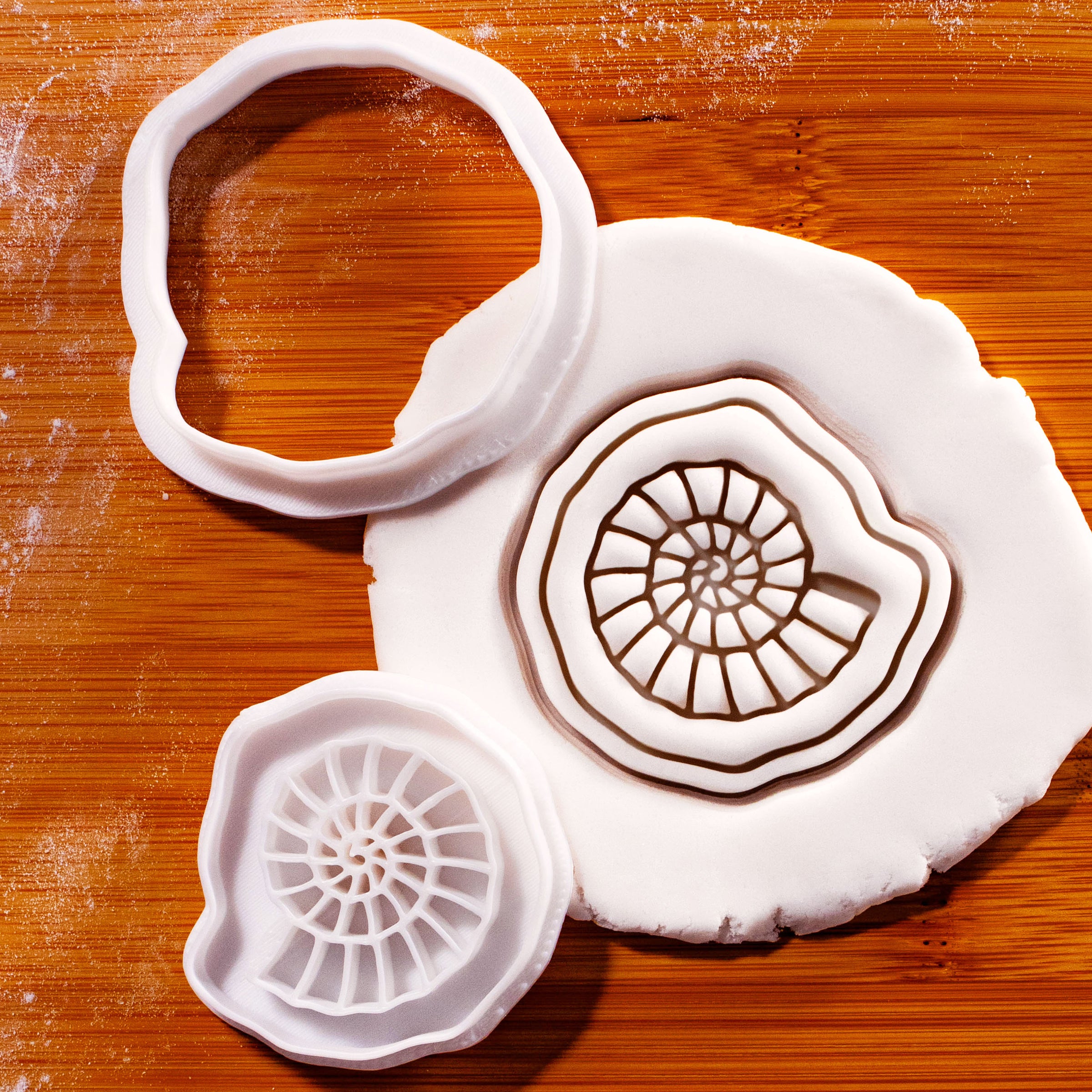 Ammonite Mini Set