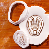 Trilobite Mini Set