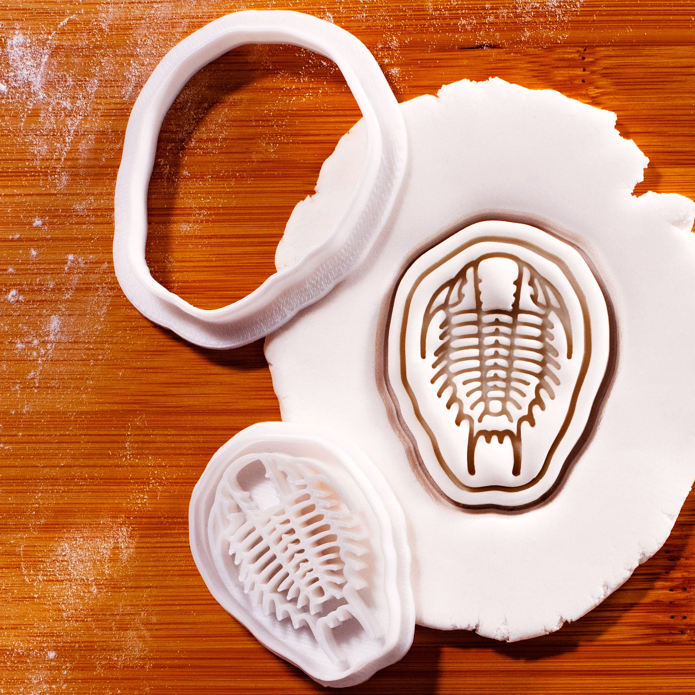 Trilobite Mini Set