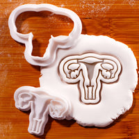 Uterus Mini Set