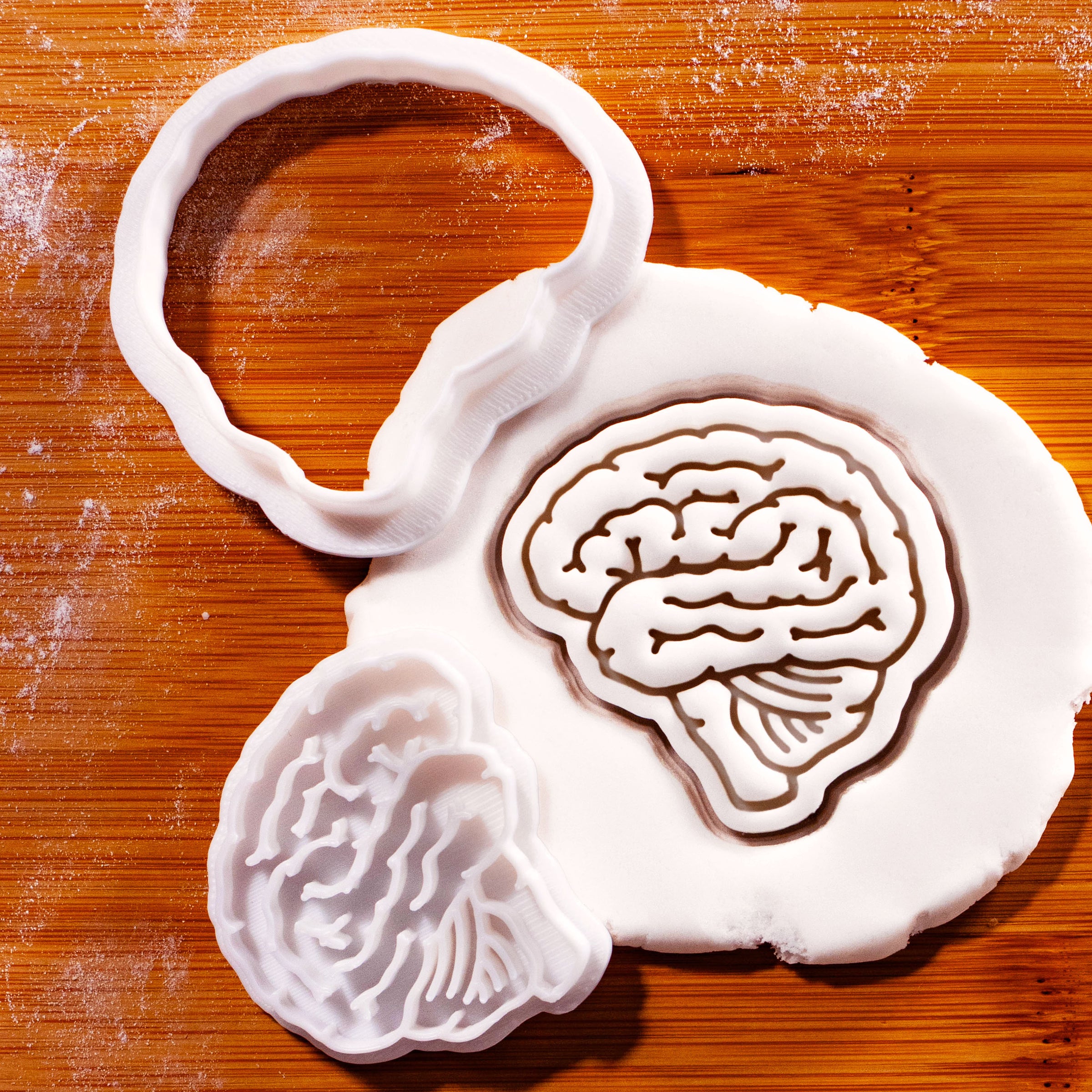 Lateral Brain Mini Set