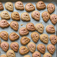 Anatomical Skull Mini Set