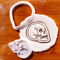 Anatomical Skull Mini Set