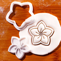 Frangipani Flower Mini Set