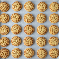 Volleyball Mini Set