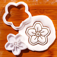 Forget Me Not Flower Mini Set