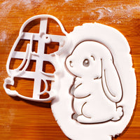 Precious Bunny