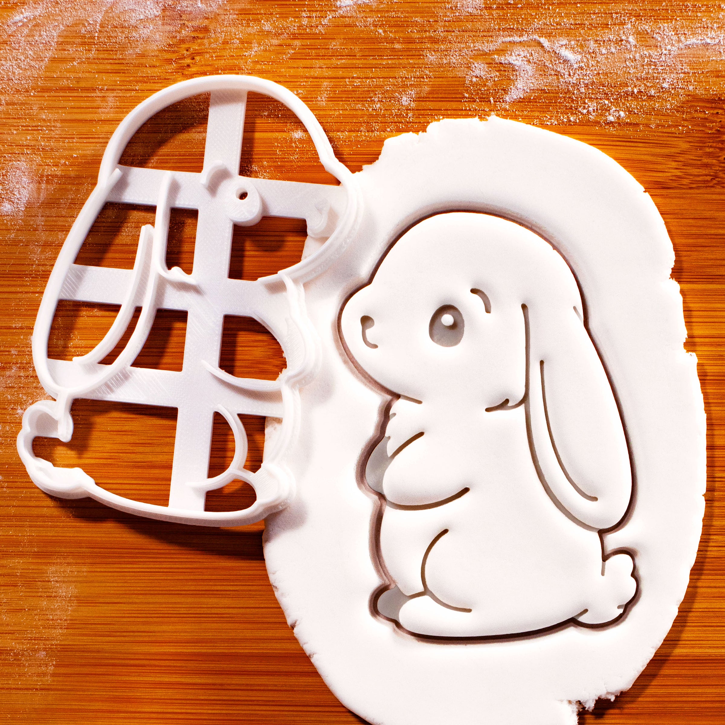 Precious Bunny
