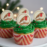 Robin Red Breast Bird Mini Set