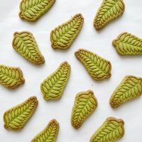 Fern Mini Set