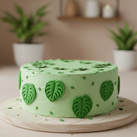 Monstera Mini Set