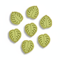 Monstera Mini Set