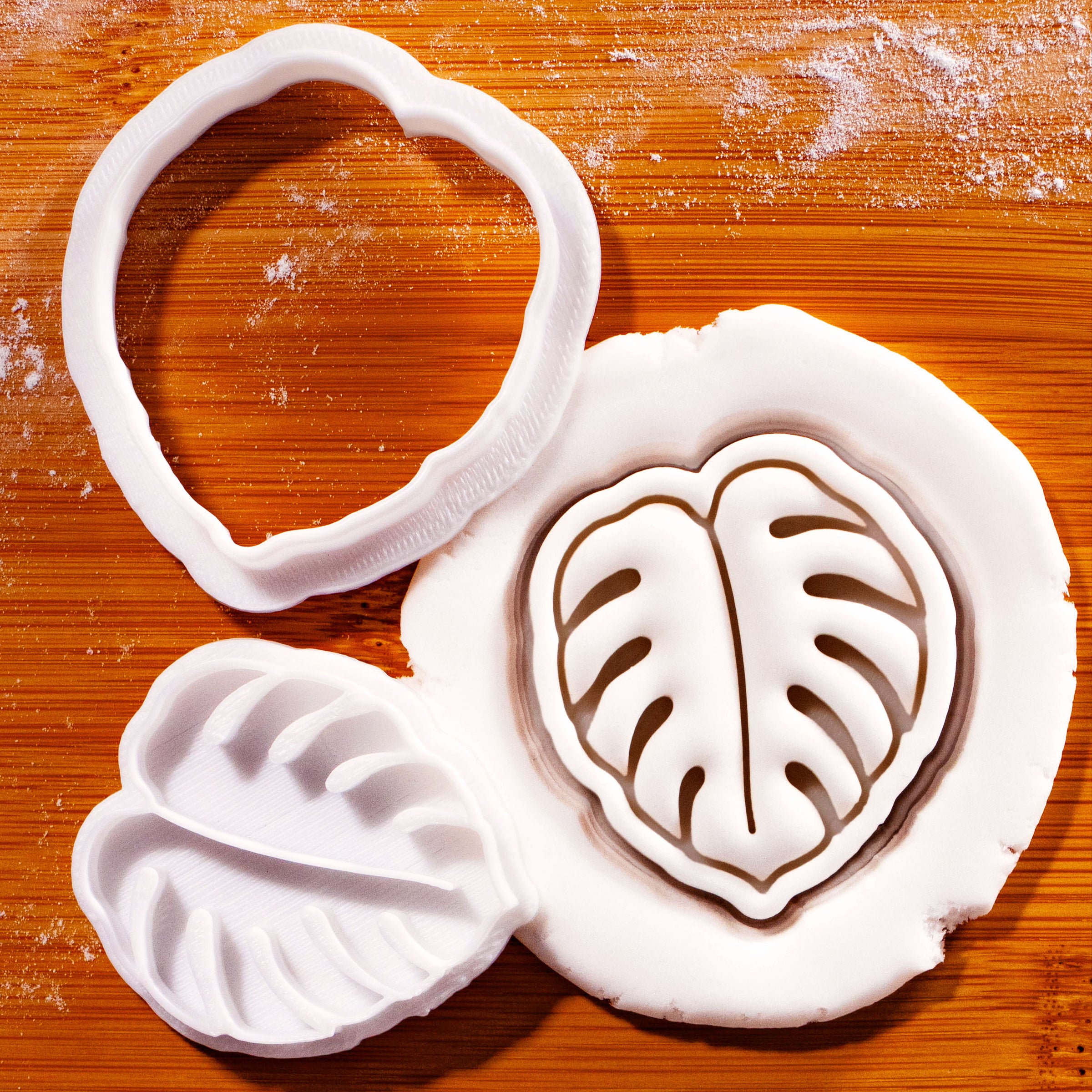 Monstera Mini Set