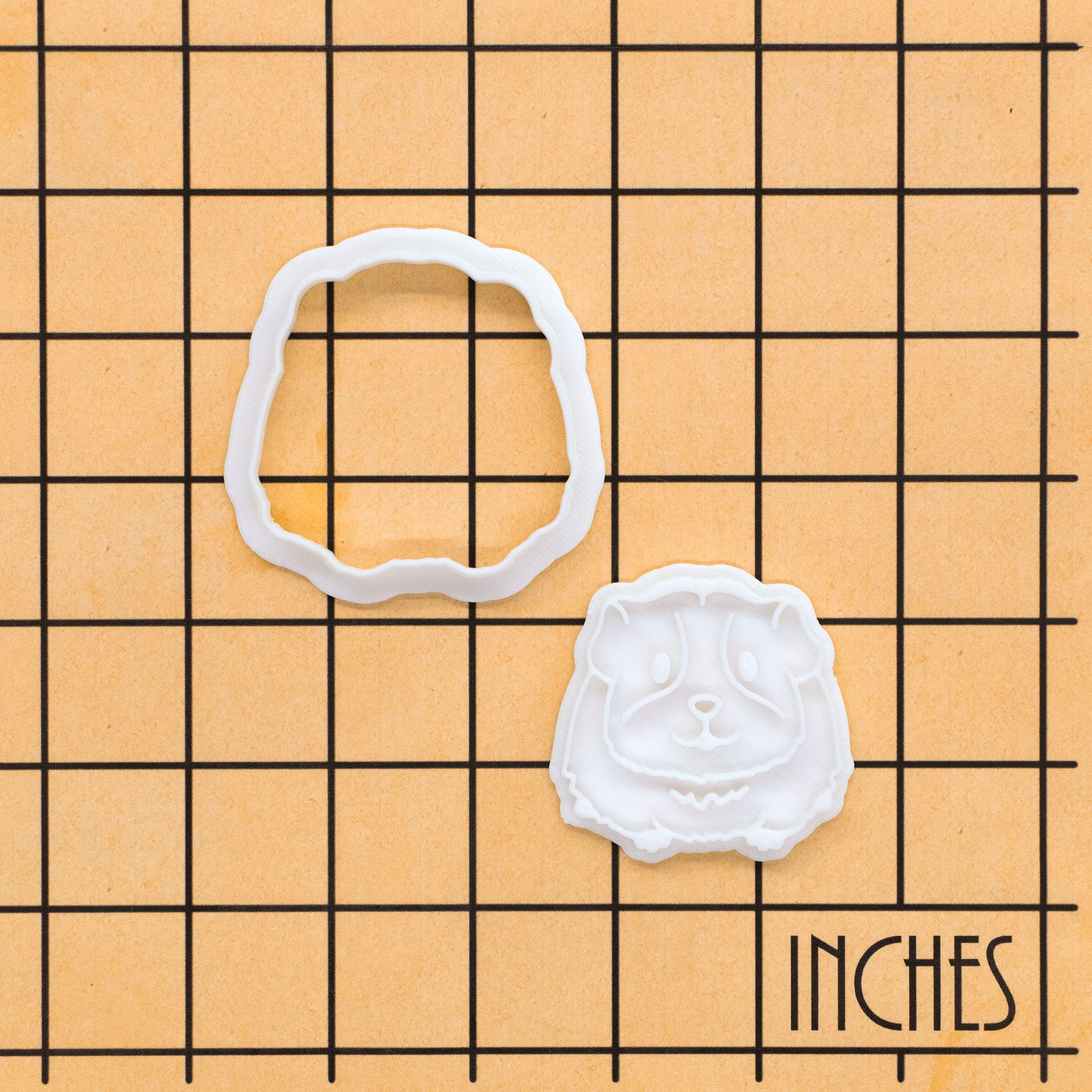 Guinea Pig Mini Set