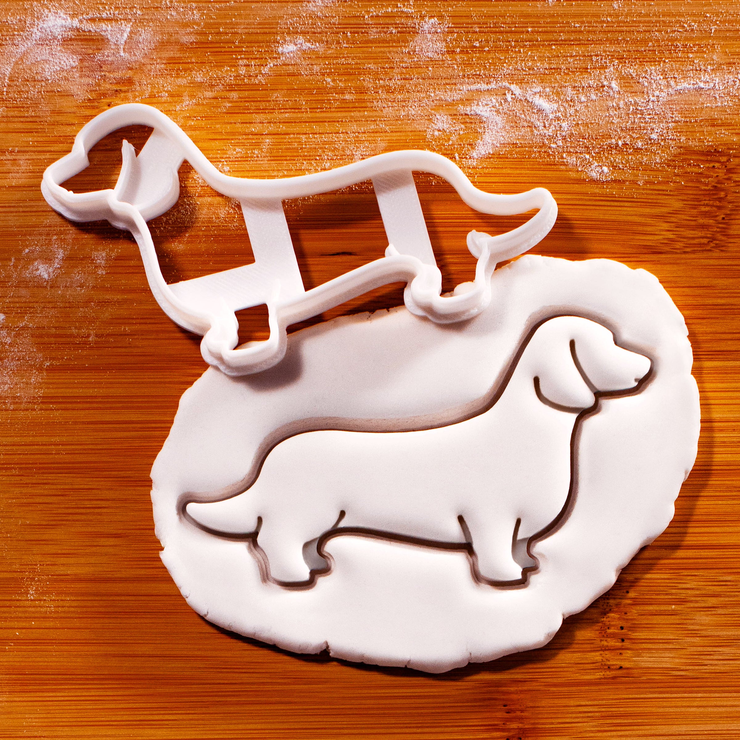 Dachshund Side View