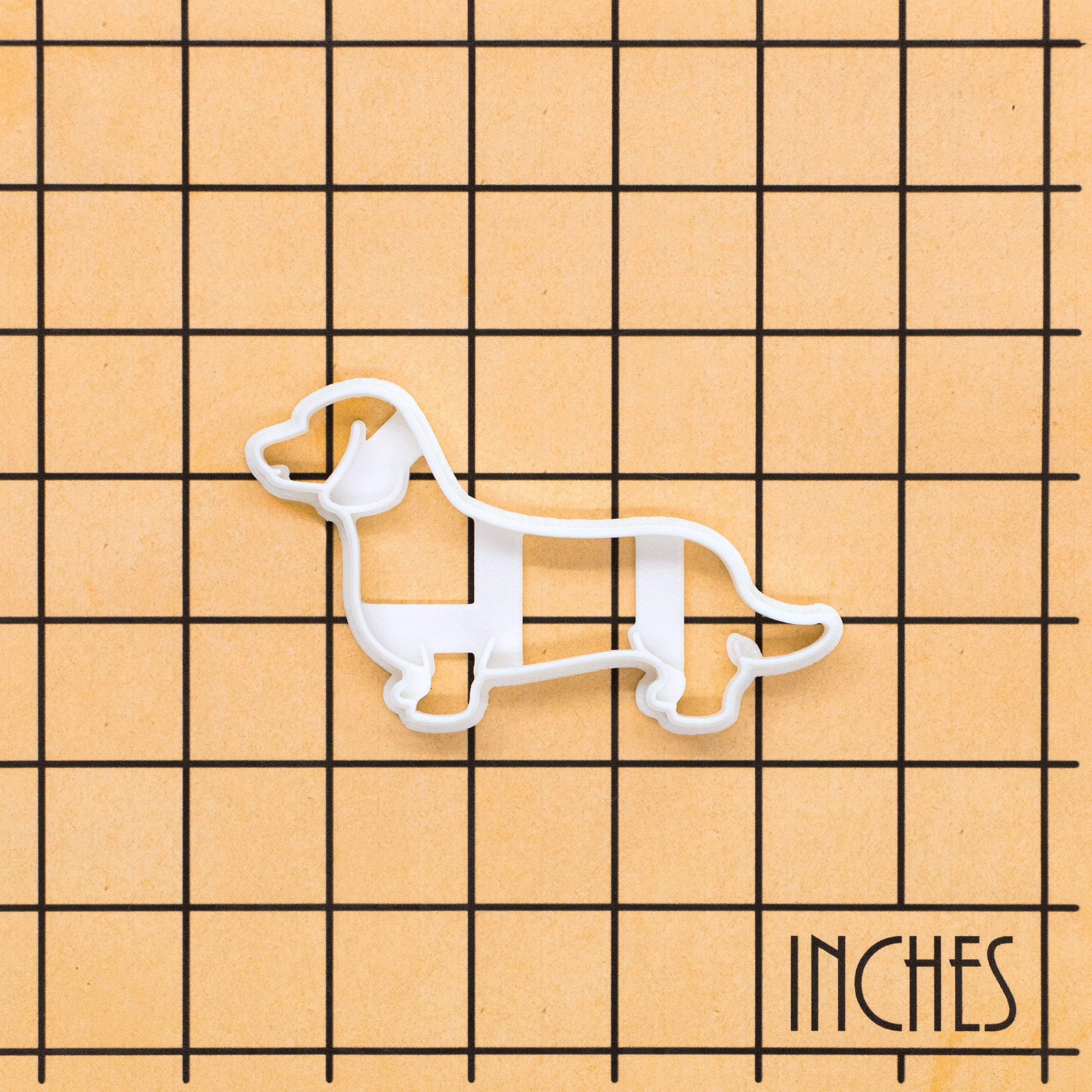 Dachshund Side View