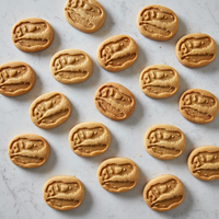 T-Rex Skull Fossil Mini Set