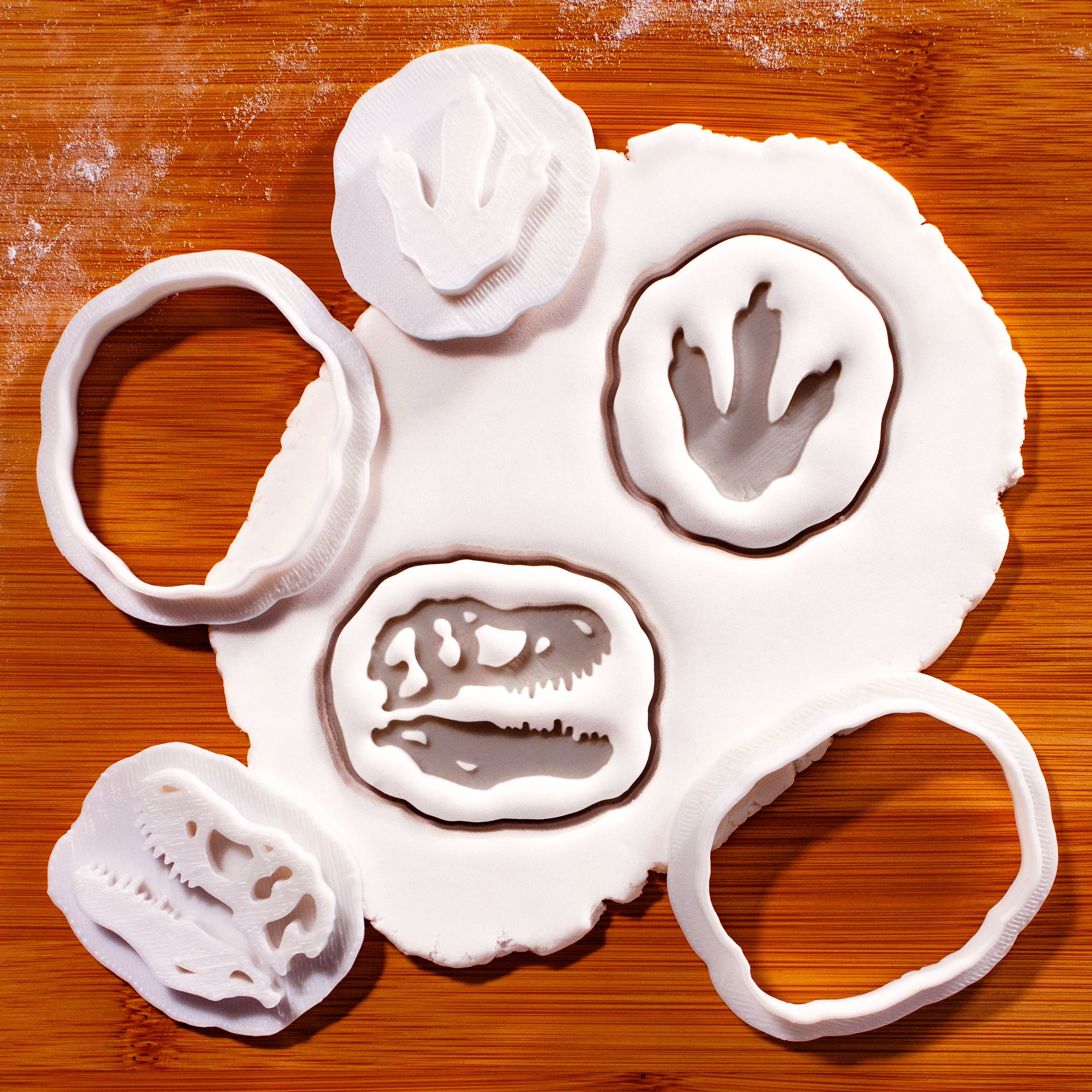 T-Rex Footprint & Skull Fossil Mini Set