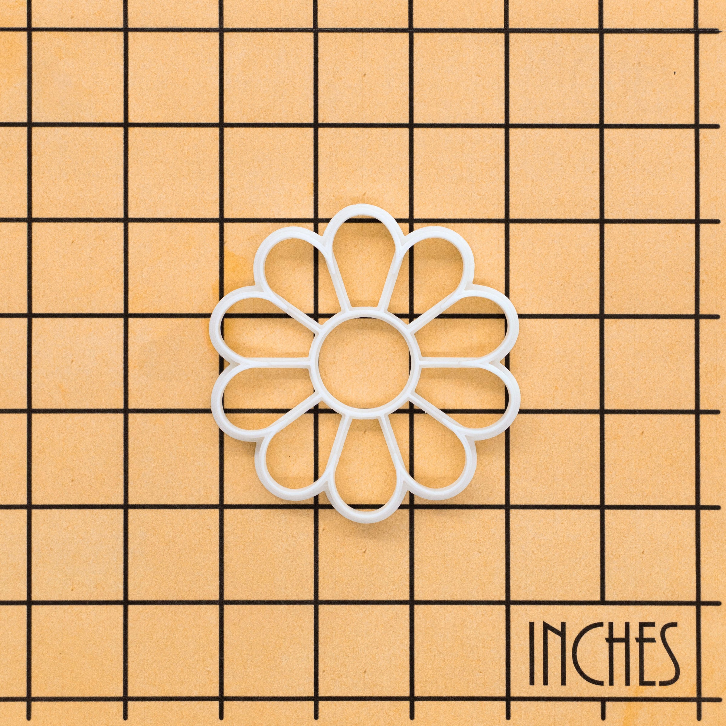Simple Daisy Flower