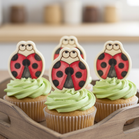 Ladybug Mini Set