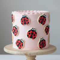 Ladybug Mini Set