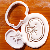 Kidney Mini Set