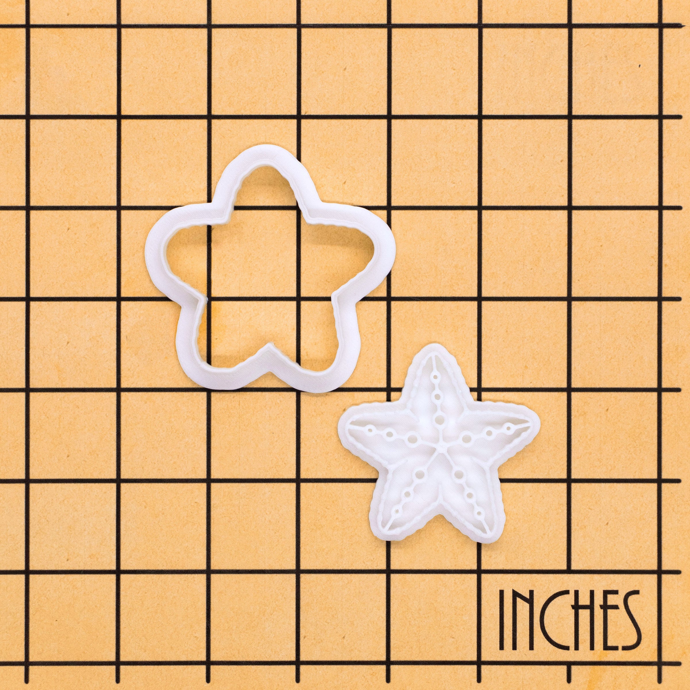 Starfish Mini Set