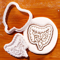 Intestines Mini Set