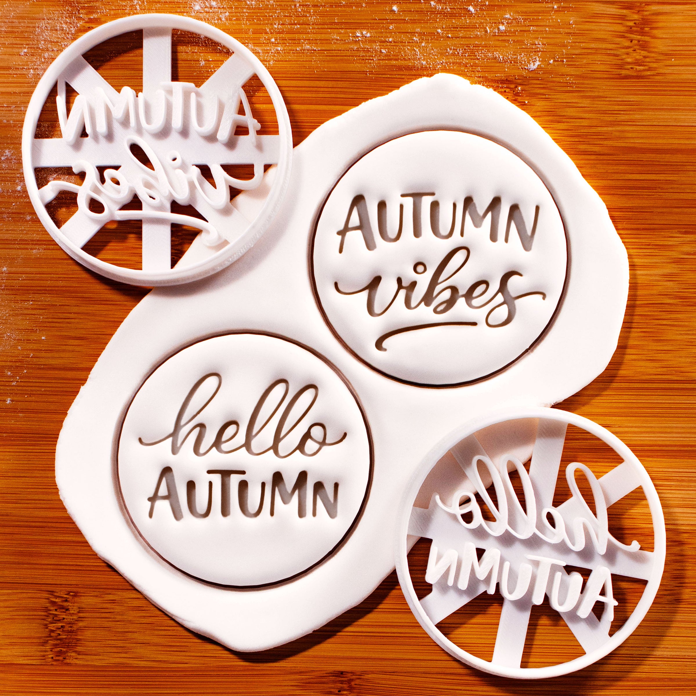Autumn Vibes & Hello Autumn