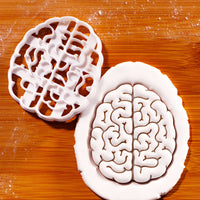 Brain (Top View)