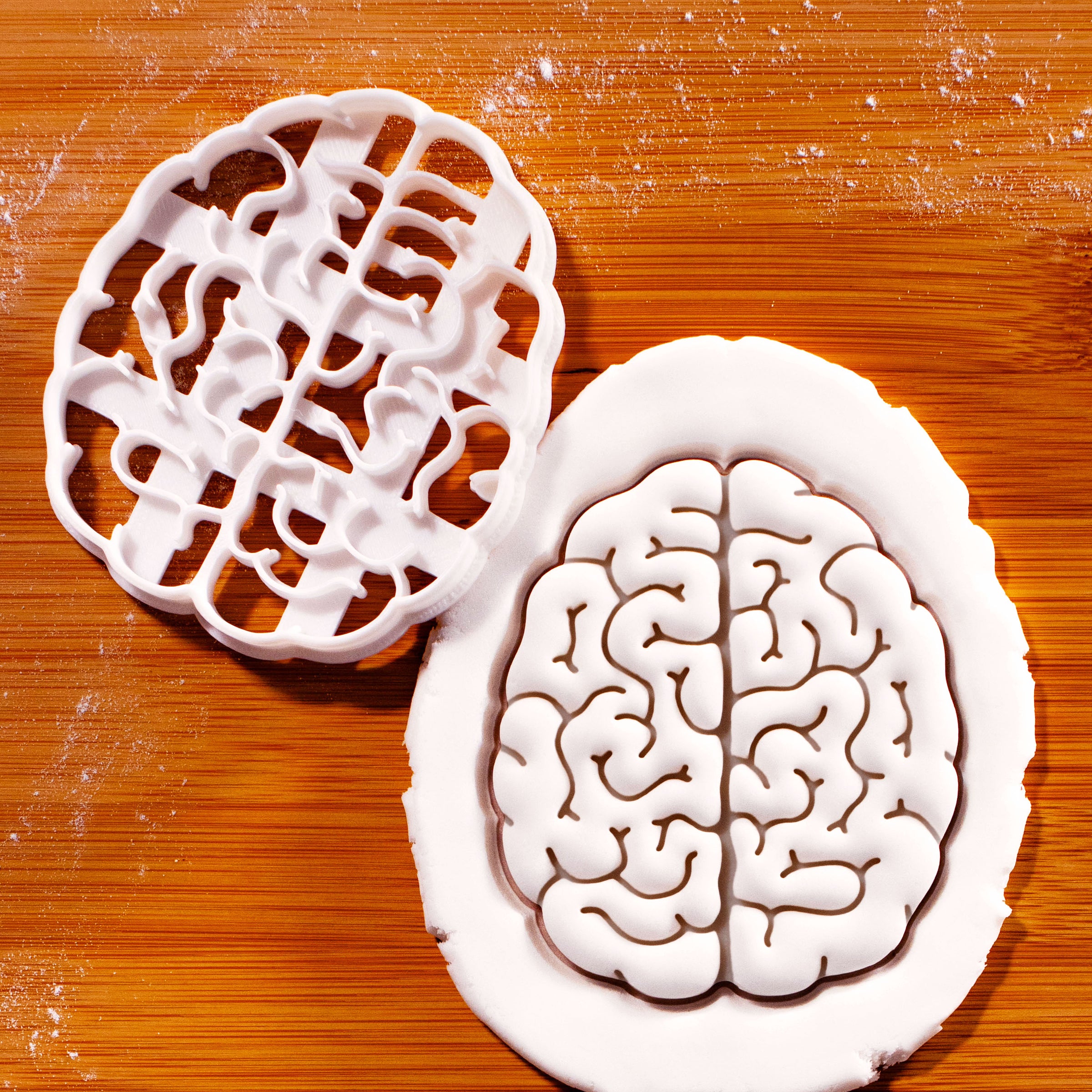 Brain (Top View)