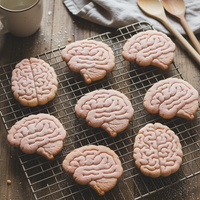Set of 2 Brain (Top & Lateral View)
