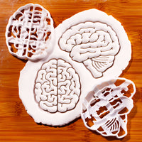 Set of 2 Brain (Top & Lateral View)