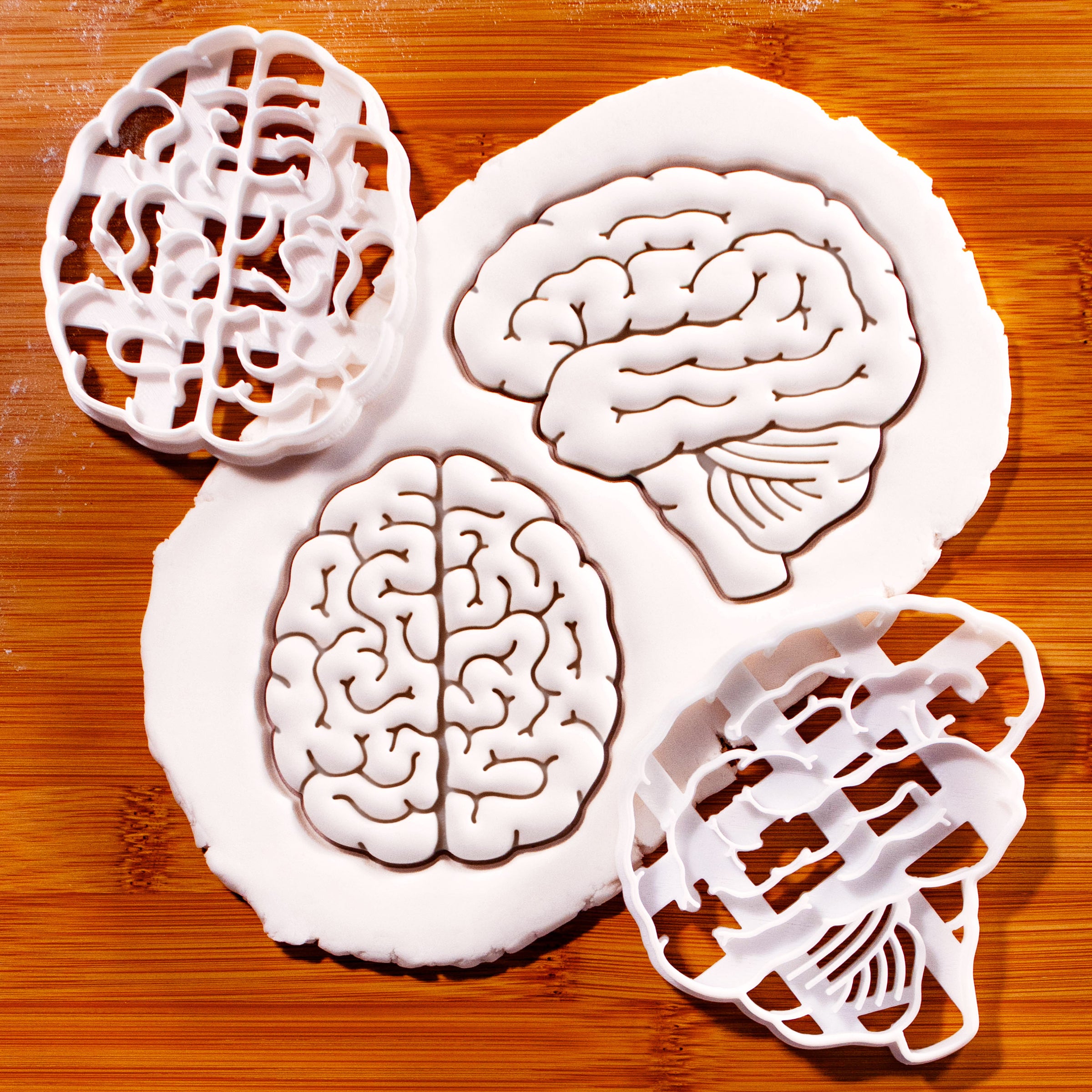 Set of 2 Brain (Top & Lateral View)