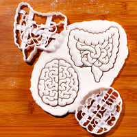 Brain & Intestines