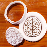 Brain Mini Set (Top View)
