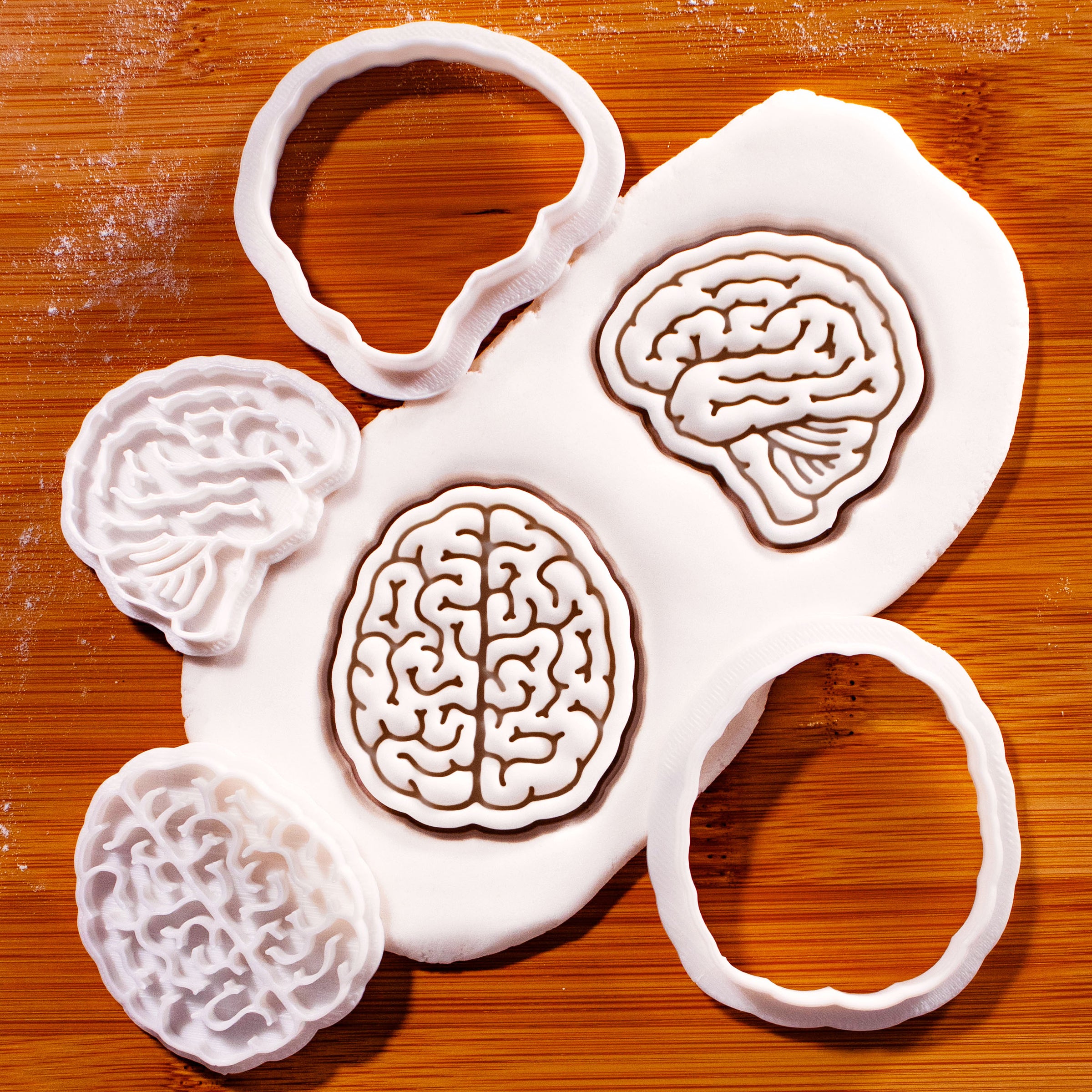 Set of 2 Brain Mini Set (Top & Lateral View)
