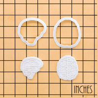 Set of 2 Brain Mini Set (Top & Lateral View)