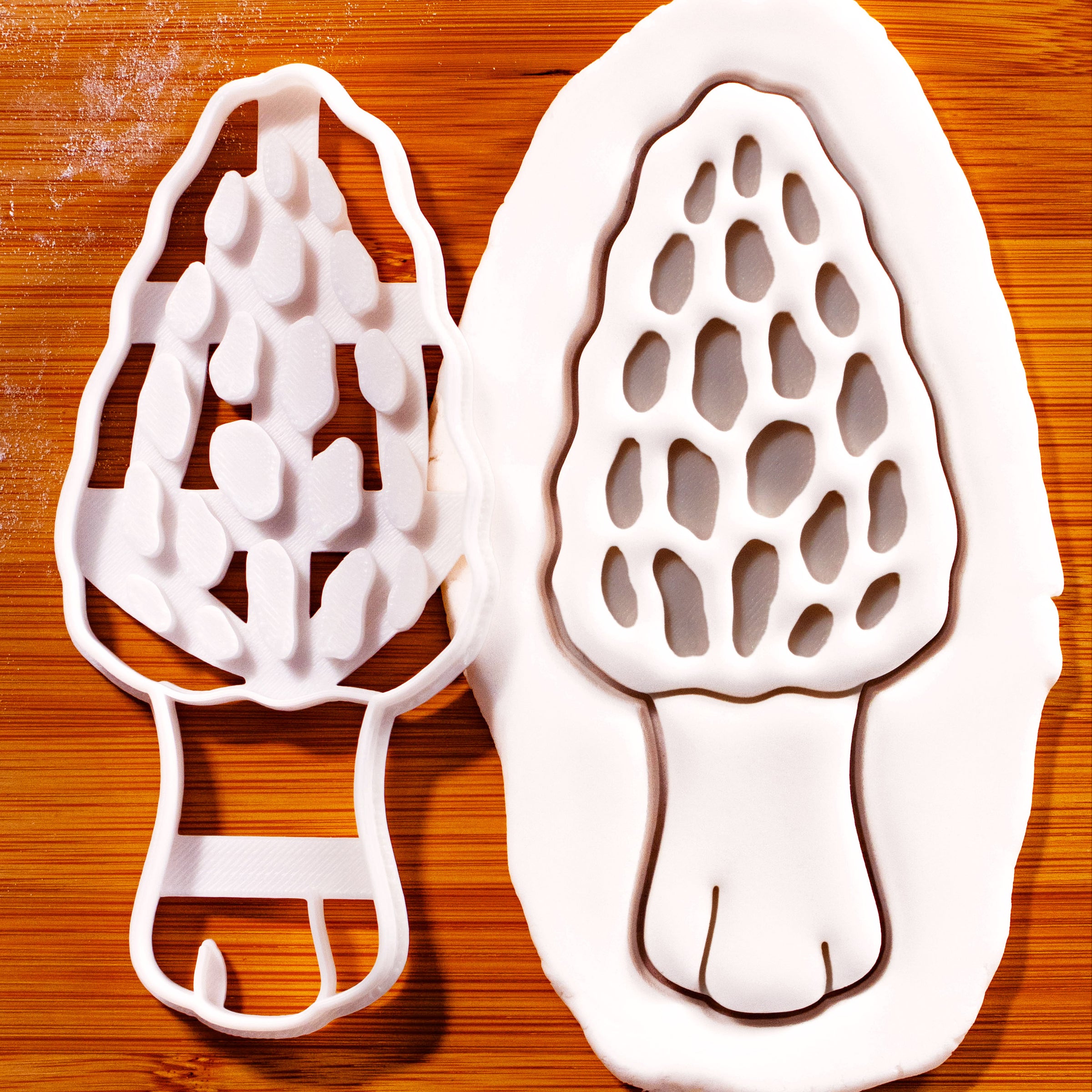 Morel Mushroom