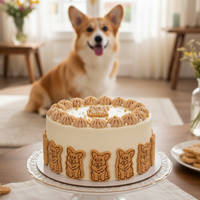 Happy Corgi Mini Set