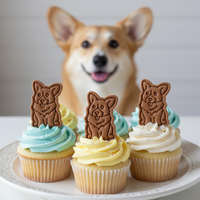 Happy Corgi Mini Set