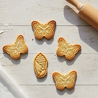 Monarch Butterfly & Chrysalis Mini Set
