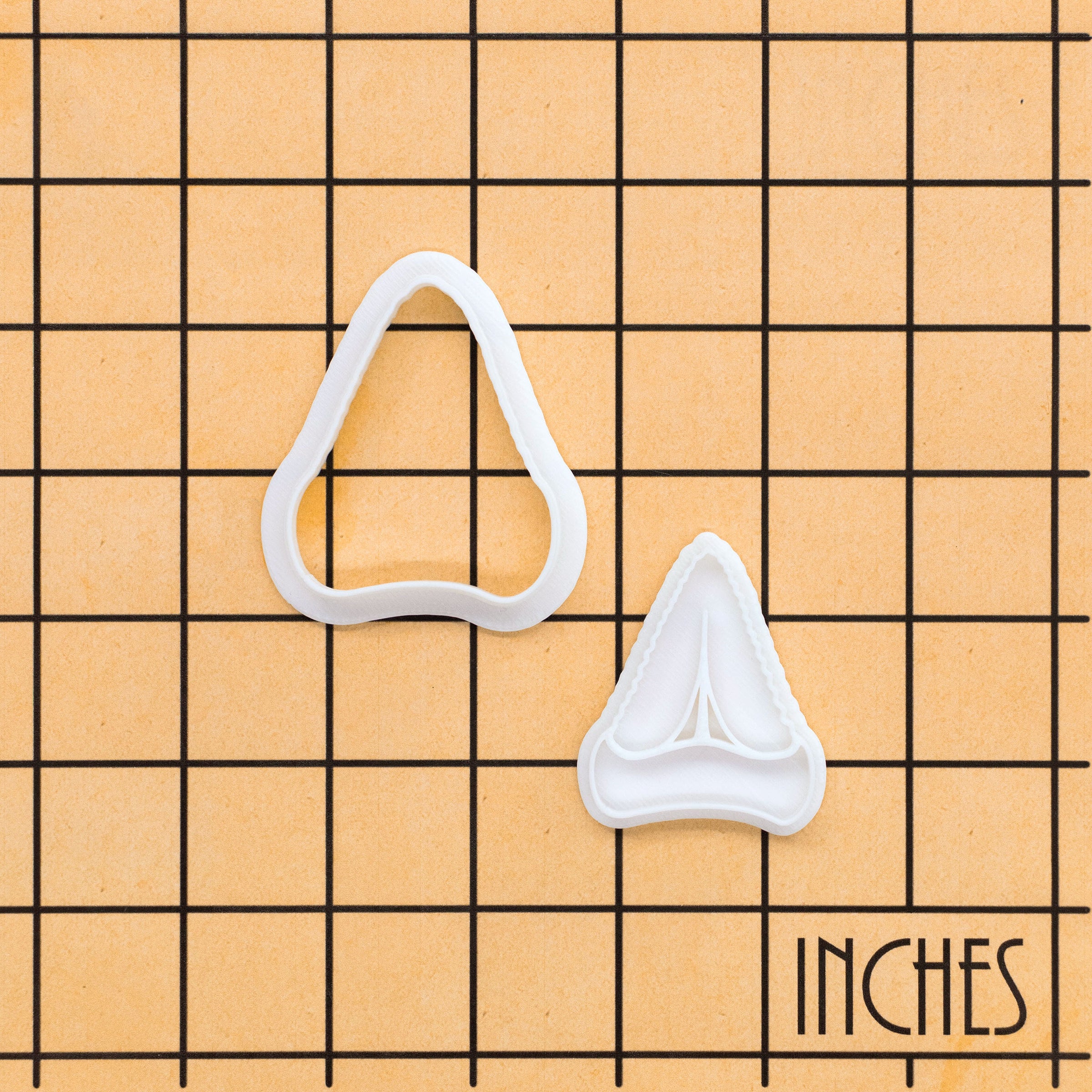 Shark Tooth Mini Set