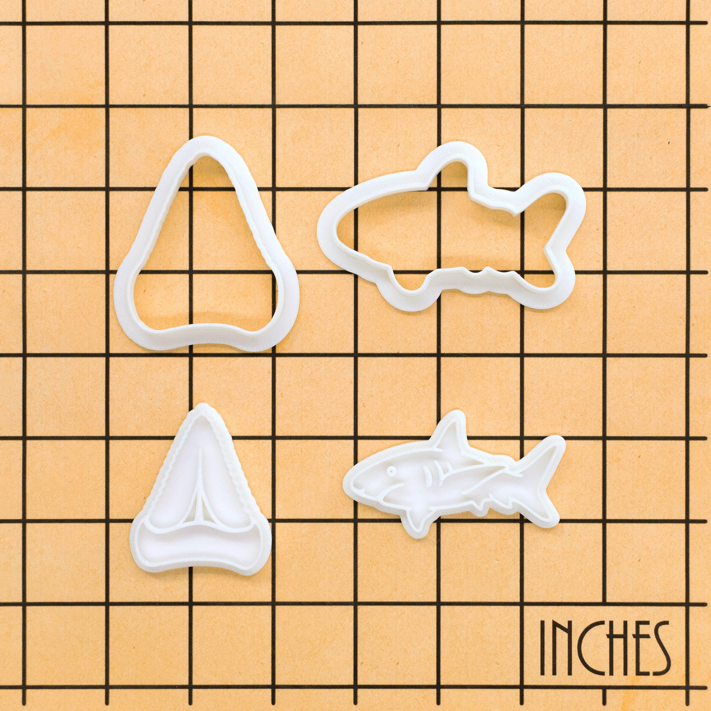 Great White Shark & Shark Tooth Mini Set