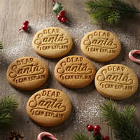 Dear Santa I Can Explain
